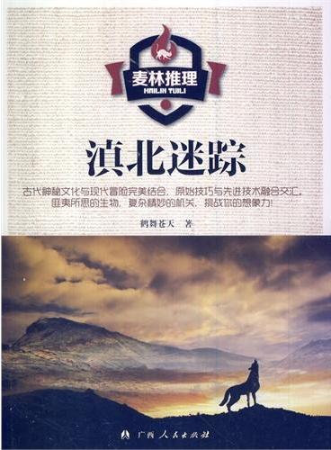 中小学生阅读系列之麦林推理——滇北谜踪