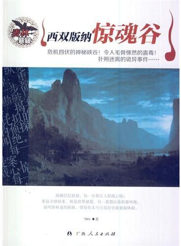中小学生阅读系列之麦林悬疑——西双版纳惊魂谷
