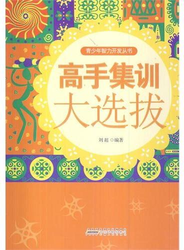 中小学生阅读系列之青少年智力开发从书—高手集训大选拔