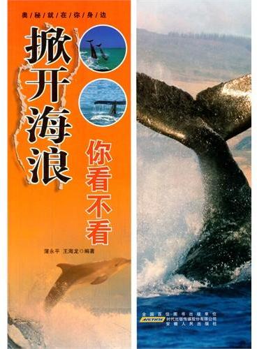 中小学生阅读系列之奥秘就在你身边--掀开海浪你看不看（四色印刷）