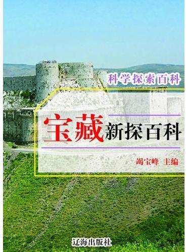 宝藏新探百科