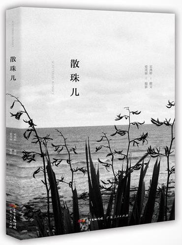 散珠儿
