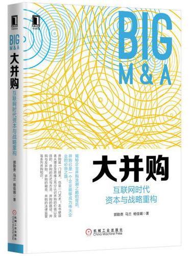 大并购：互联网时代资本与战略重构