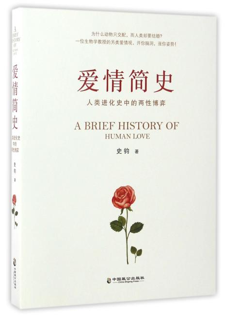 爱情简史