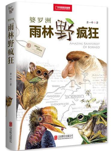婆罗洲雨林野疯狂