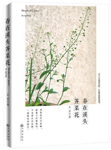 春在溪头荠菜花
