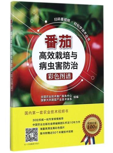 番茄高效栽培与病虫害防治彩色图谱