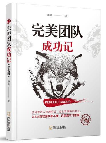 完美团队成功记