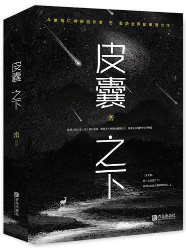 皮囊之下