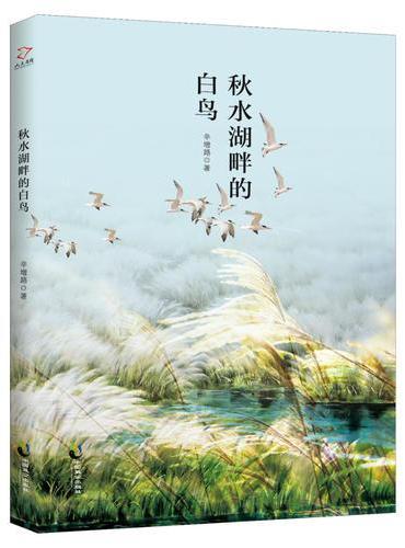 秋水湖畔的白鸟