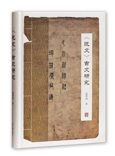 《说文》古文研究