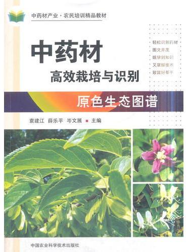 中药材高效栽培与识别原色生态图谱
