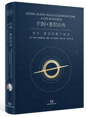 约翰·惠勒自传 京子、黑洞和量子泡沫
