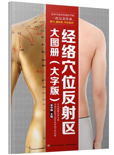 经络穴位反射区大图册（大字版）
