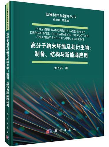 高分子纳米纤维及其衍生物：制备、结构与新能源应用