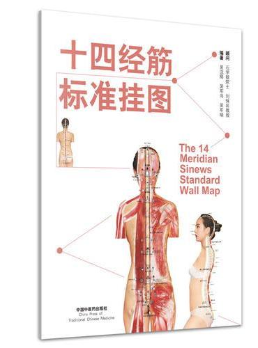 十四经筋标准挂图