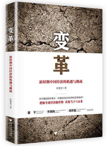 变革：新时期中国经济的机遇与挑战