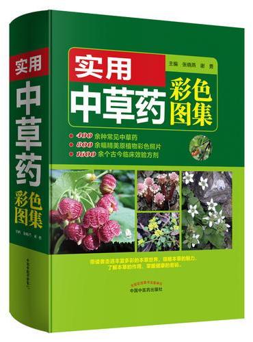 实用中草药彩色图集