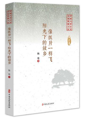 像纸片一样飞·阳光下的故乡（中国专业作家小说典藏文库）