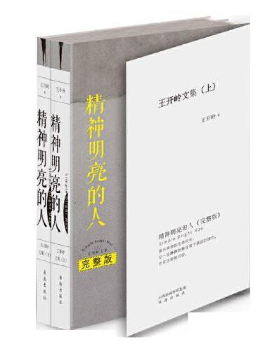 精神明亮的人：王开岭文集.完整版