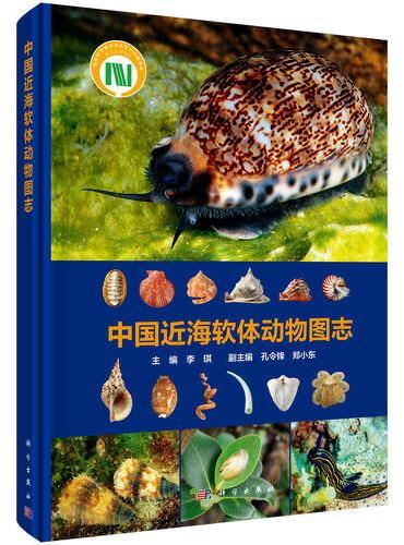 中国近海软体动物图志