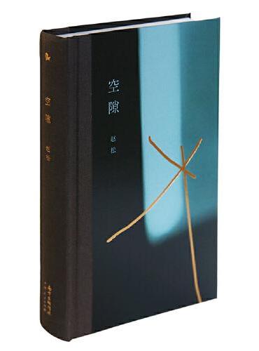 空隙（十二周年修订纪念版）（失踪的人，破碎或朦胧，虚构的生活）