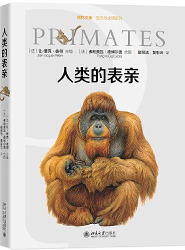 人类的表亲