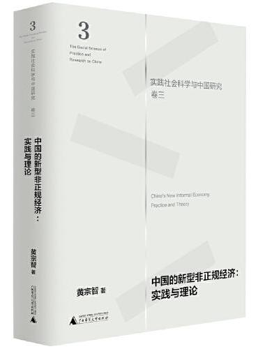 中国的新型非正规经济：实践与理论（实践社会科学与中国研究·卷三）
