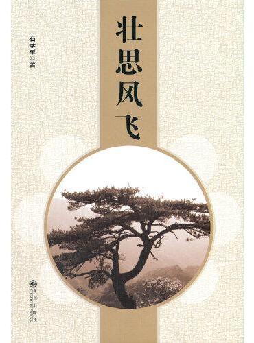 壮思风飞