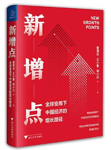 新增点：全球变局下中国经济的增长路径