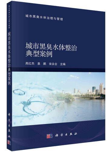 城市黑臭水体整治典型案例