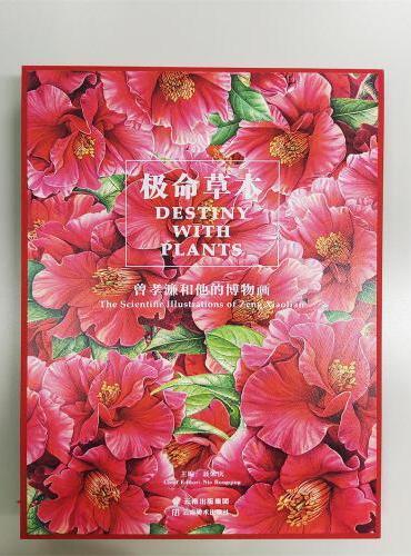 极命草木——曾孝濂和他的博物画
