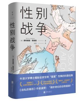 性别战争