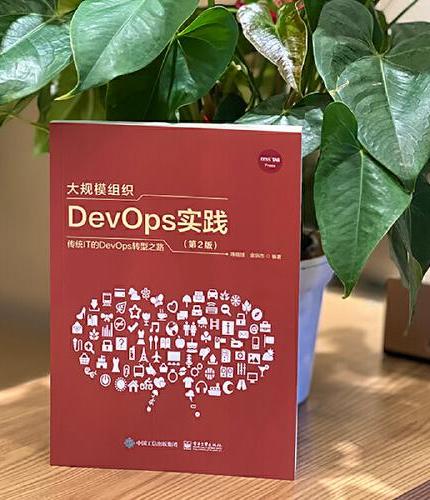 大规模组织DevOps实践（第2版）