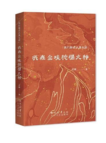 我在尘埃挖掘火种