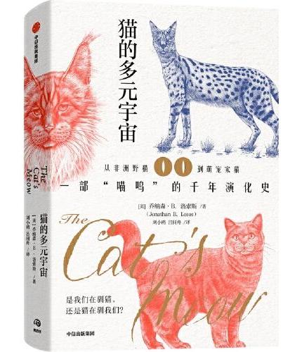 猫的多元宇宙