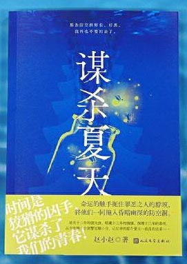 谋杀夏天（金牌编剧赵小赵社会派推理小说力作！三次复仇的完美谋杀，洞见人性的光明与黑暗！）