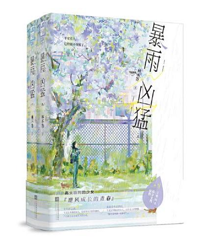 暴雨凶猛（全两册）