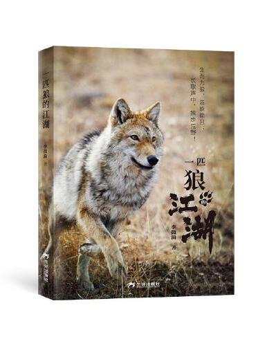一匹狼的江湖 