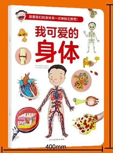 我可爱的身体 1-6岁儿童人体认识百科
