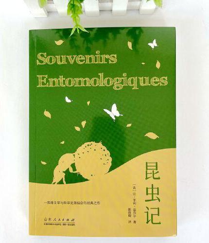 昆虫记 青少年成长阅读系列 法布尔昆虫记 外国文学读物世界名著故事 中小学生课外阅读