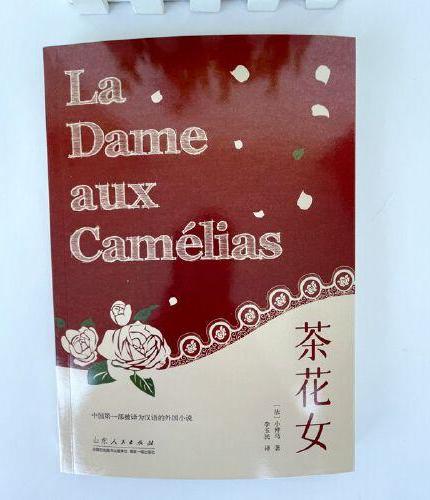 茶花女 青少年成长阅读系列 法国小仲马经典世界名著外国文学小说 中学生课外阅读书