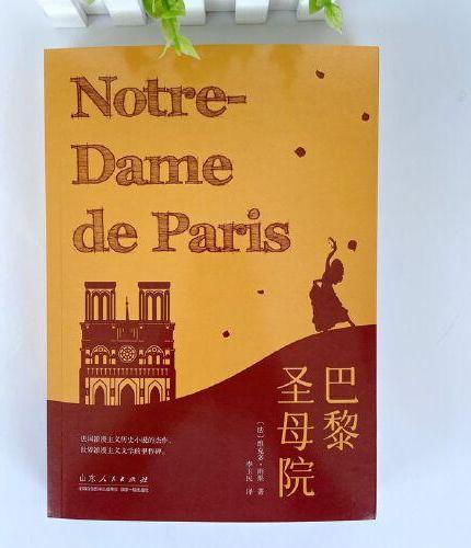 巴黎圣母院 青少年成长阅读系列 雨果 世界文学名著名家名译 初高中课外书阅读