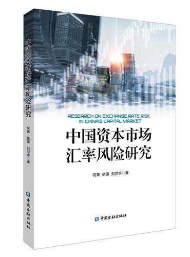 中国资本市场汇率风险研究