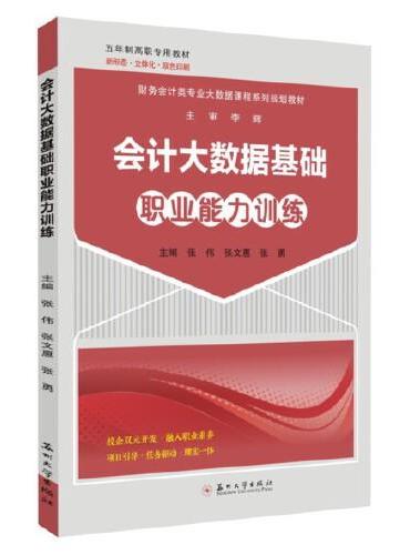 会计大数据基础职业能力训练