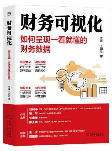 财务可视化：如何呈现一看就懂的财务数据  王峰 王丽君