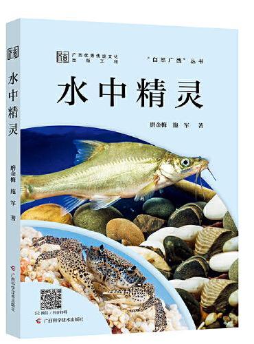 水中精灵
