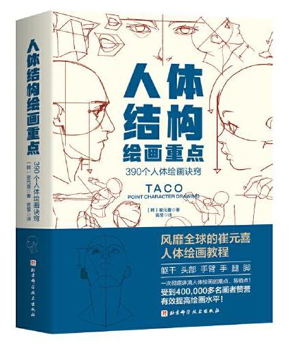 人体结构绘画重点