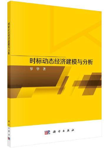 时标动态经济建模与分析