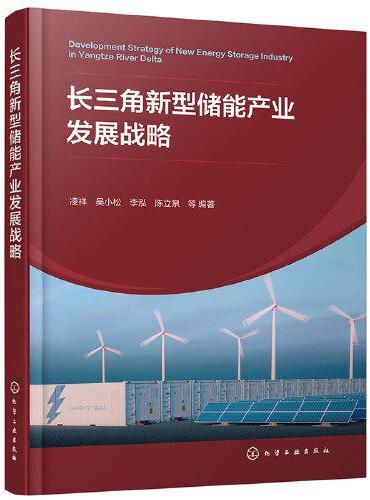 长三角新型储能产业发展战略